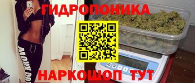 PSILOCYBIN Мариинск