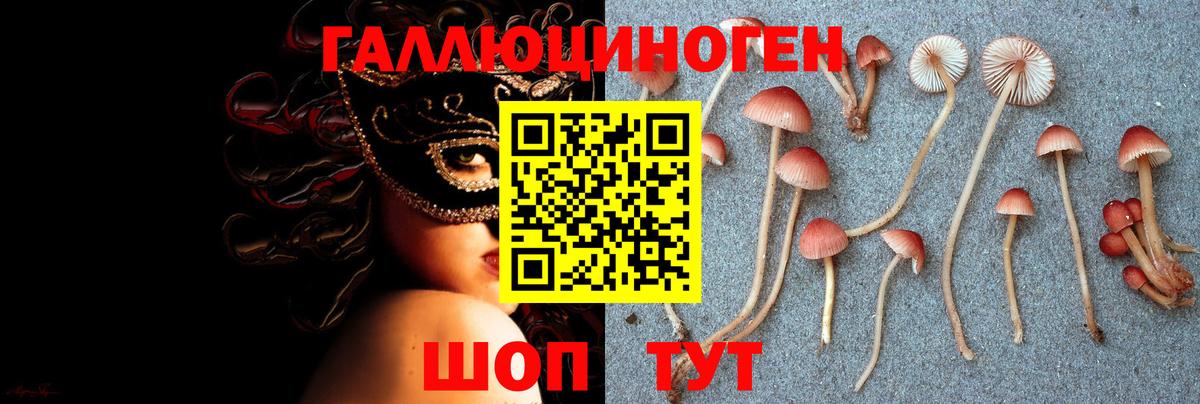 где можно купить наркотик  Галлюциногенные грибы мицелий  Вход с VPN  Черняховск  Псилоцибиновые грибы мухоморы 