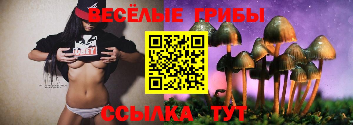 Галлюциногенные грибы GOLDEN TEACHER Черняховск