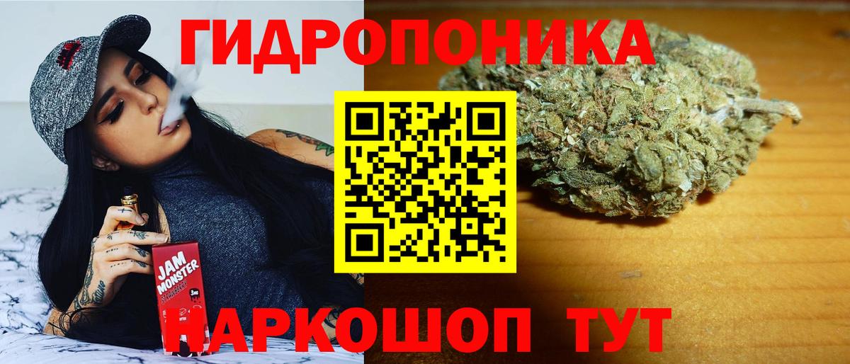 Шишки марихуана тримм  Бошки марихуана Amnesia  МАРИХУАНА Ganja  Черняховск  Конопля MAZAR  Вход с VPN 